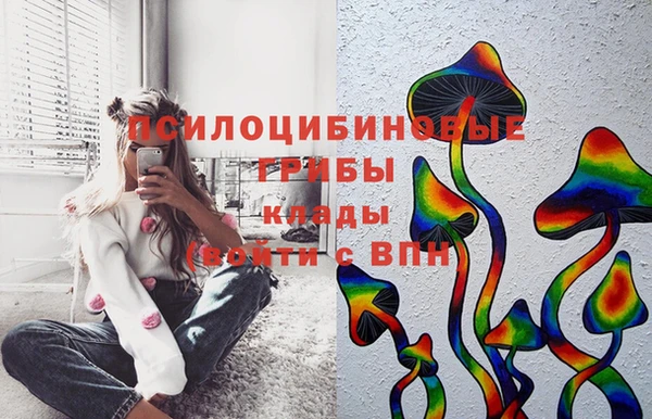 спайс Арсеньев